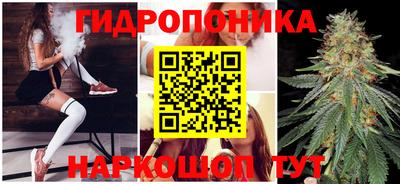 дмт Кунгур